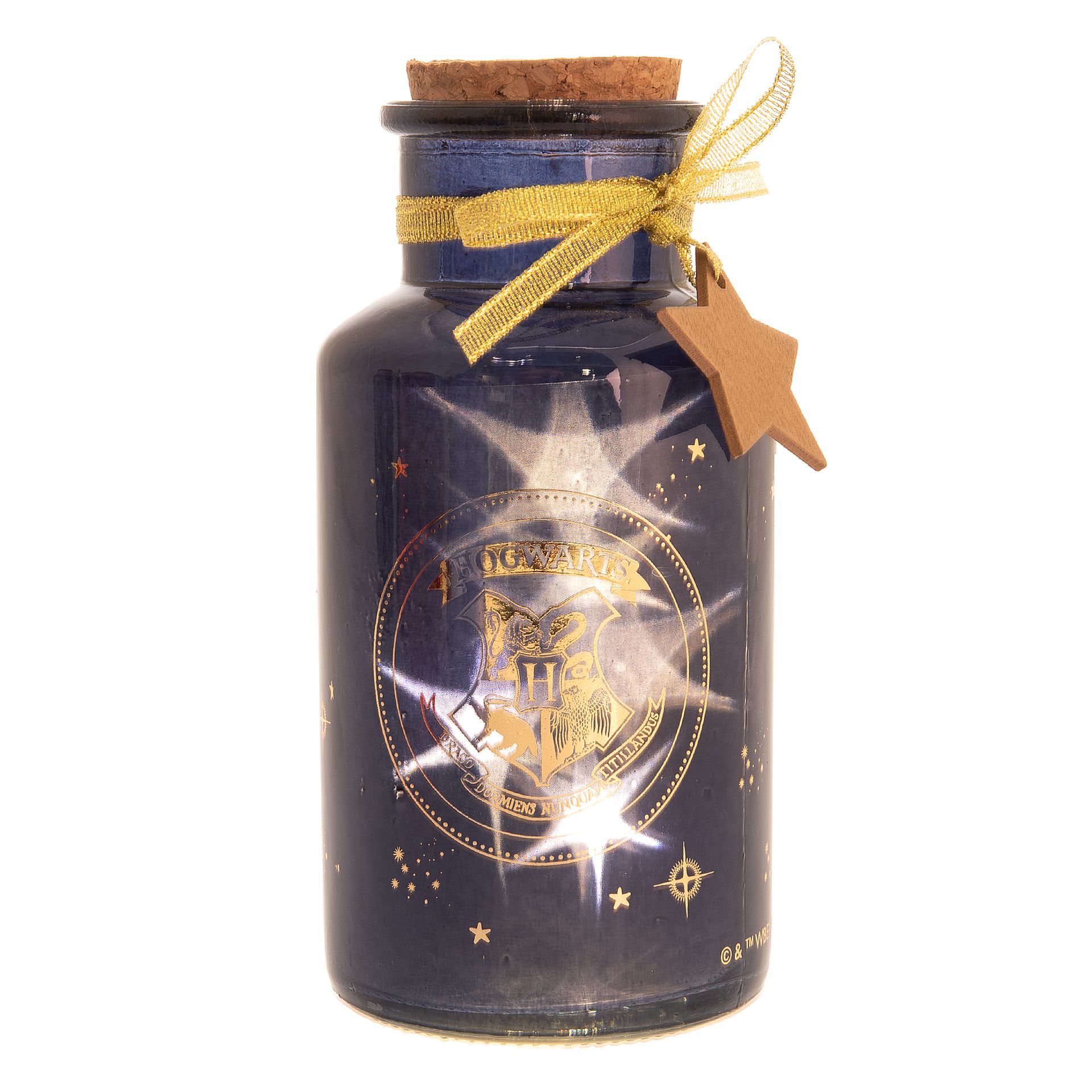 Jarre Led Blason de Poudlard bleue 1