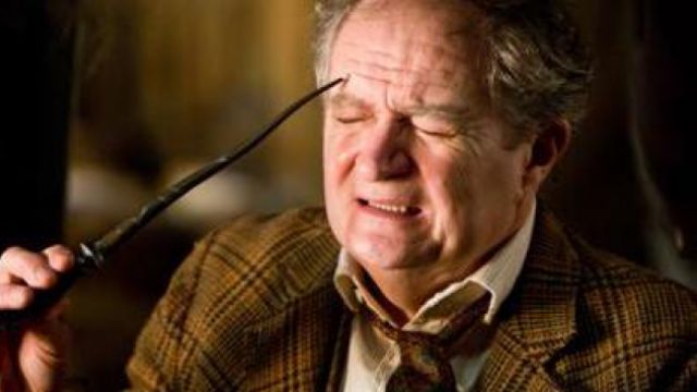Baguette du Professeur Horace Slughorn - NN8294