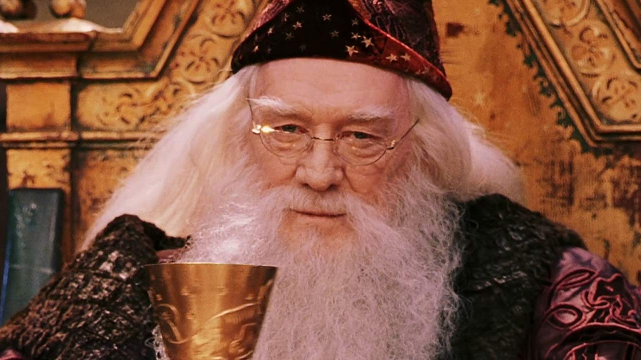 Baguette du Professeur Albus Dumbledore - Baguette de Sureau - NN8401