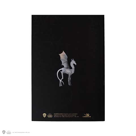 MAP5174_VUE2_480