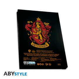 HARRY POTTER - Pack Mug320ml + Porte-clés + Cahier Harry Ron Hermione ABYPCK249 (7)