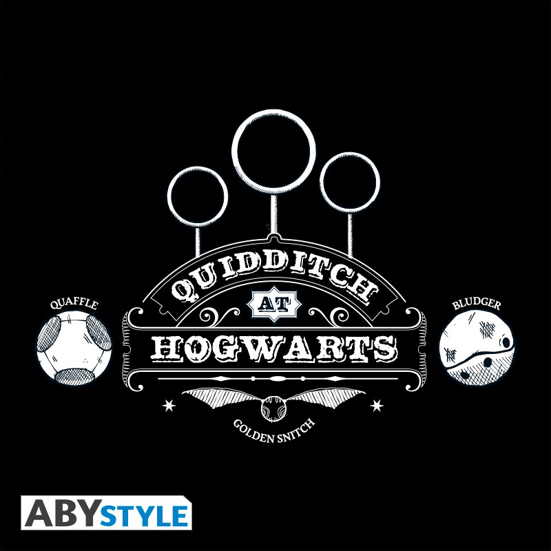 harry-potter-polo-quidditch