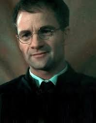 Baguette de James Potter NN8206