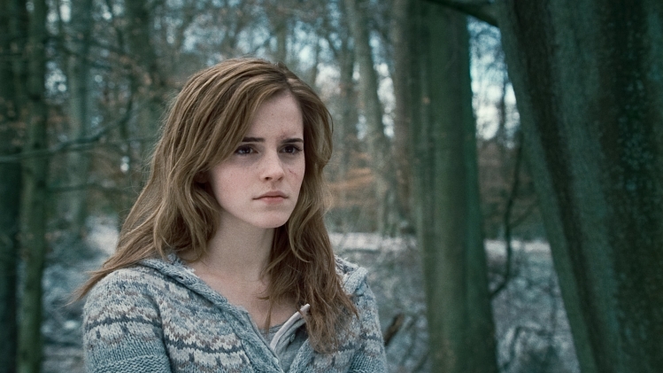 Baguette de Hermione Granger - NN8411