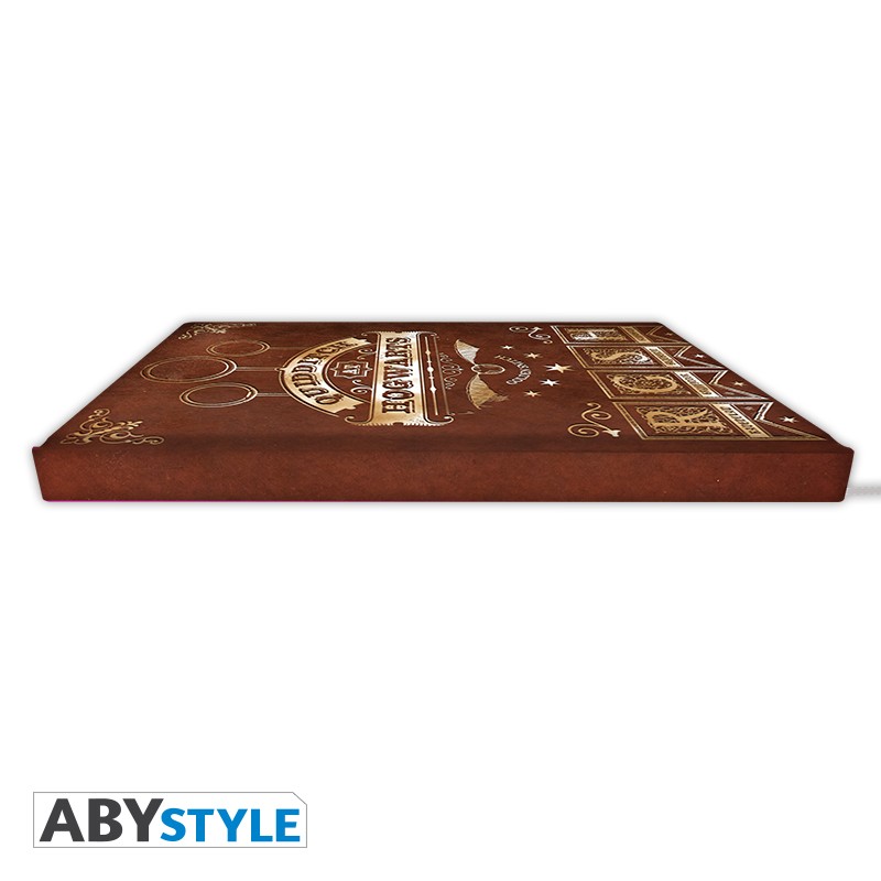 harry-potter-cahier-quidditch-a5