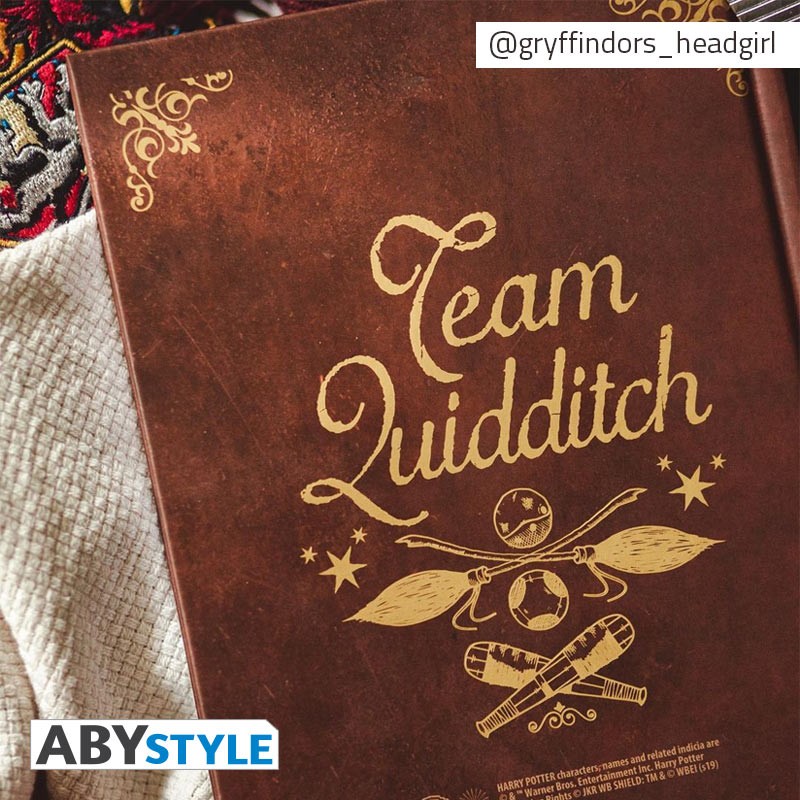 harry-potter-cahier-quidditch-a5