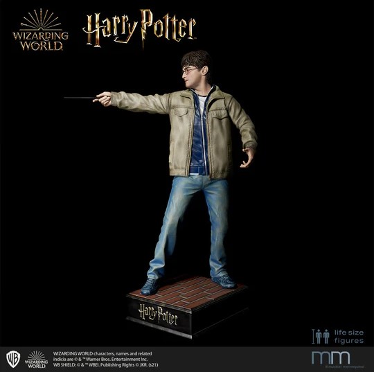 Harry-Potter_6