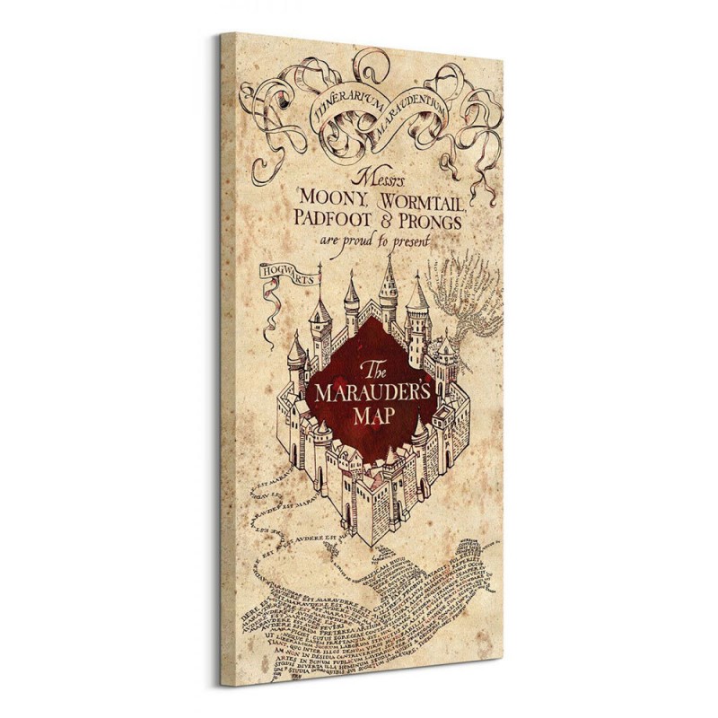 impression-sur-toile-harry-potter-100-x-50-cm