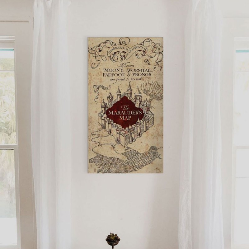 impression-sur-toile-harry-potter-100-x-50-cm