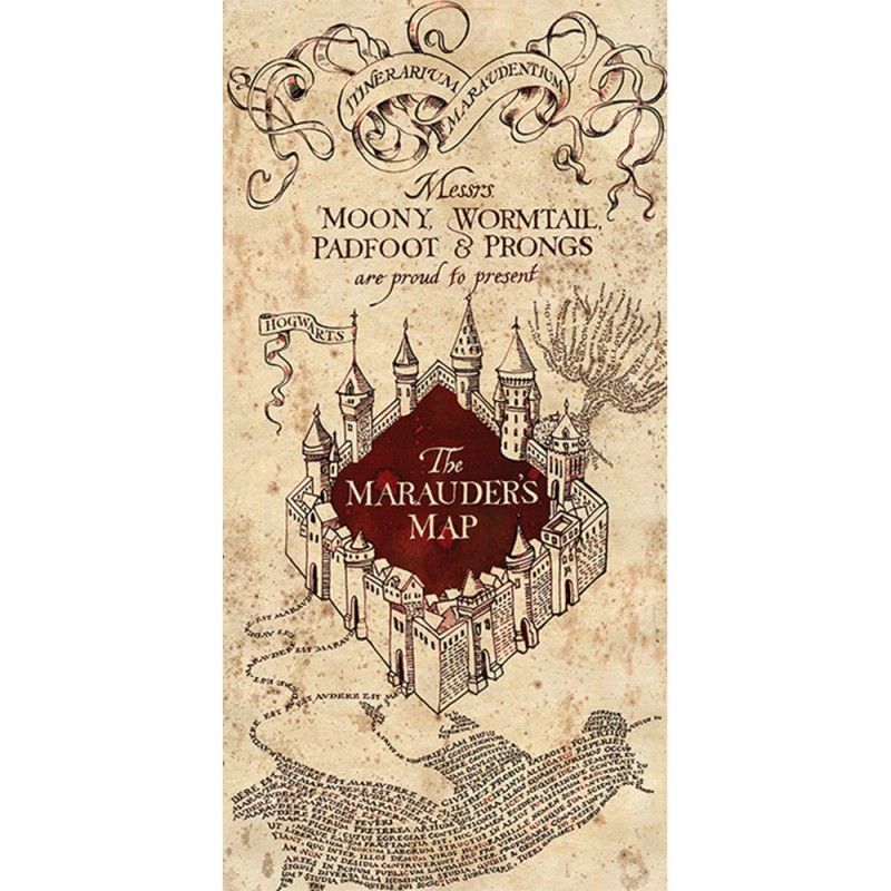 impression-sur-toile-harry-potter-100-x-50-cm