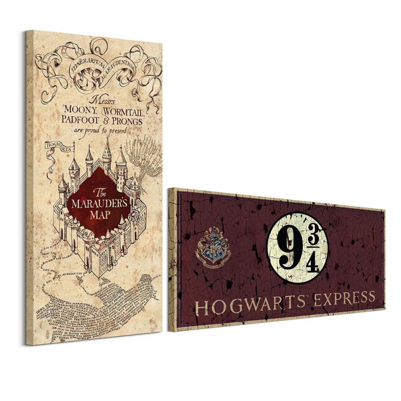 impression-sur-toile-harry-potter-100-x-50-cm