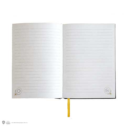 carnet hermione et ses sorts 5