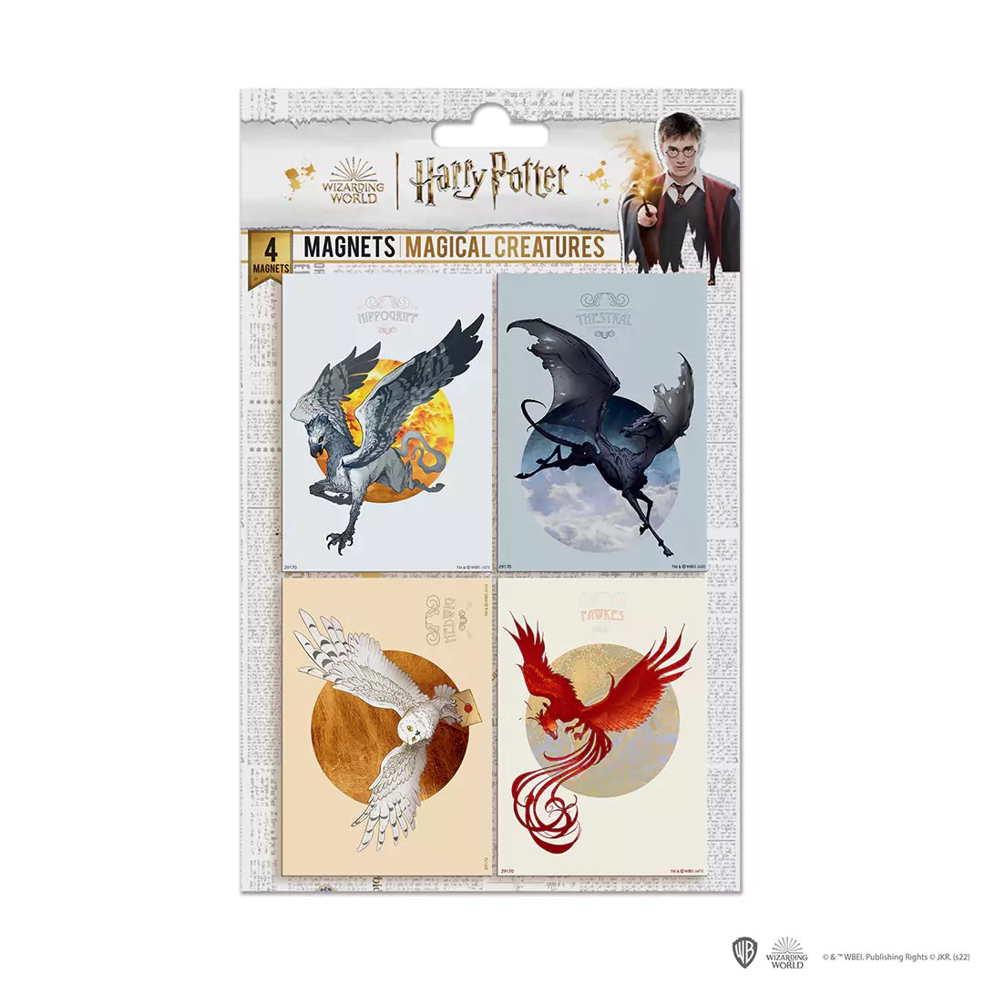 Set de 4 magnets - Créatures Magiques - Harry Potter DO5004