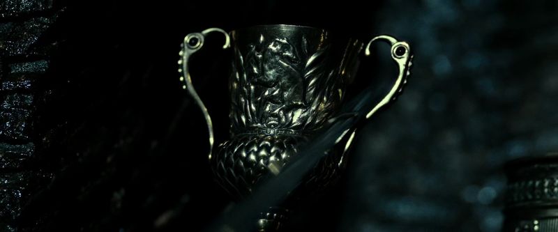 La Coupe de Helga Poufsouffle - Harry Potter - NN8689