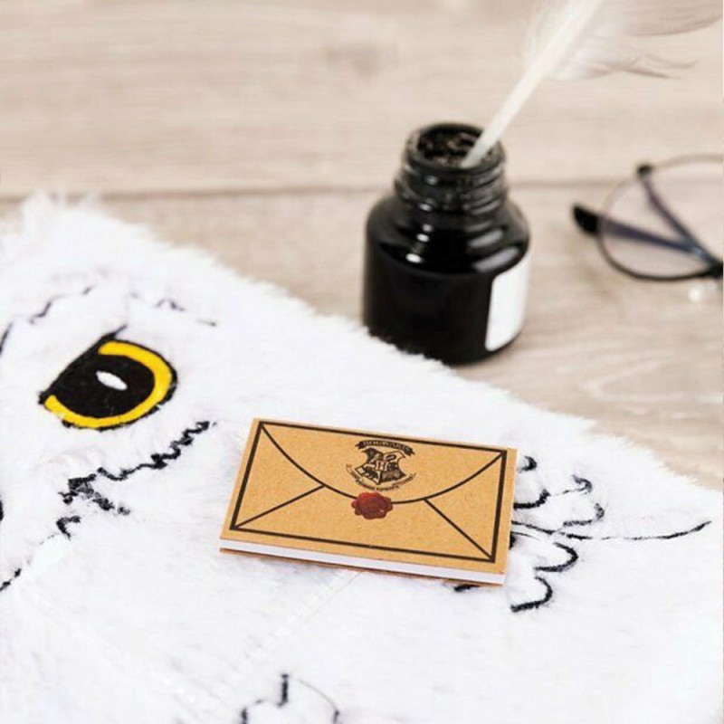 Carnet de notes Harry Potter - Chouette Hedwige fourrure SLHP258(7)