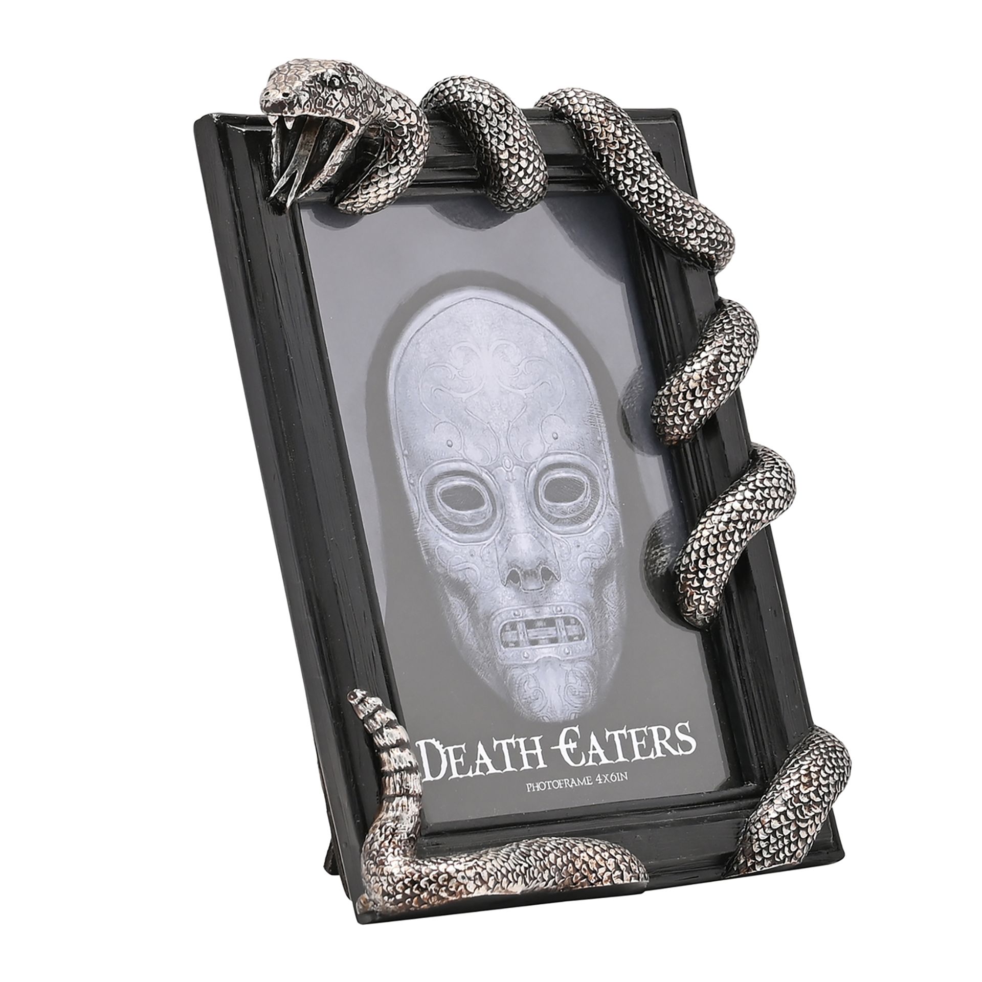 Cadre Mangemort Forces du Mal wb314 1