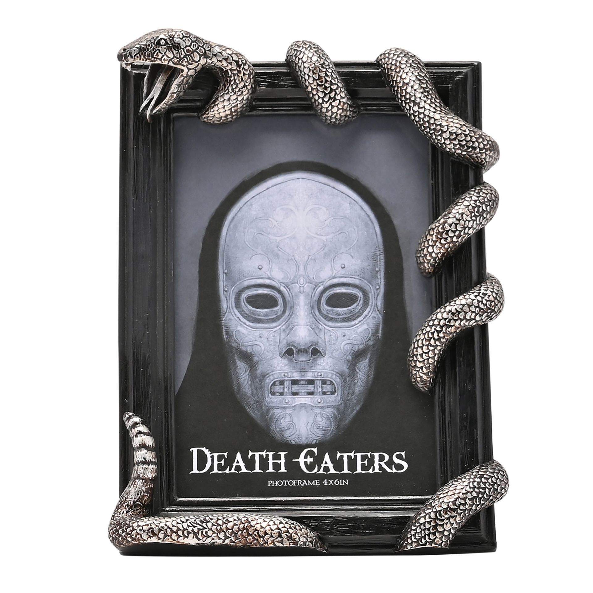 Cadre Mangemort Forces du Mal wb314