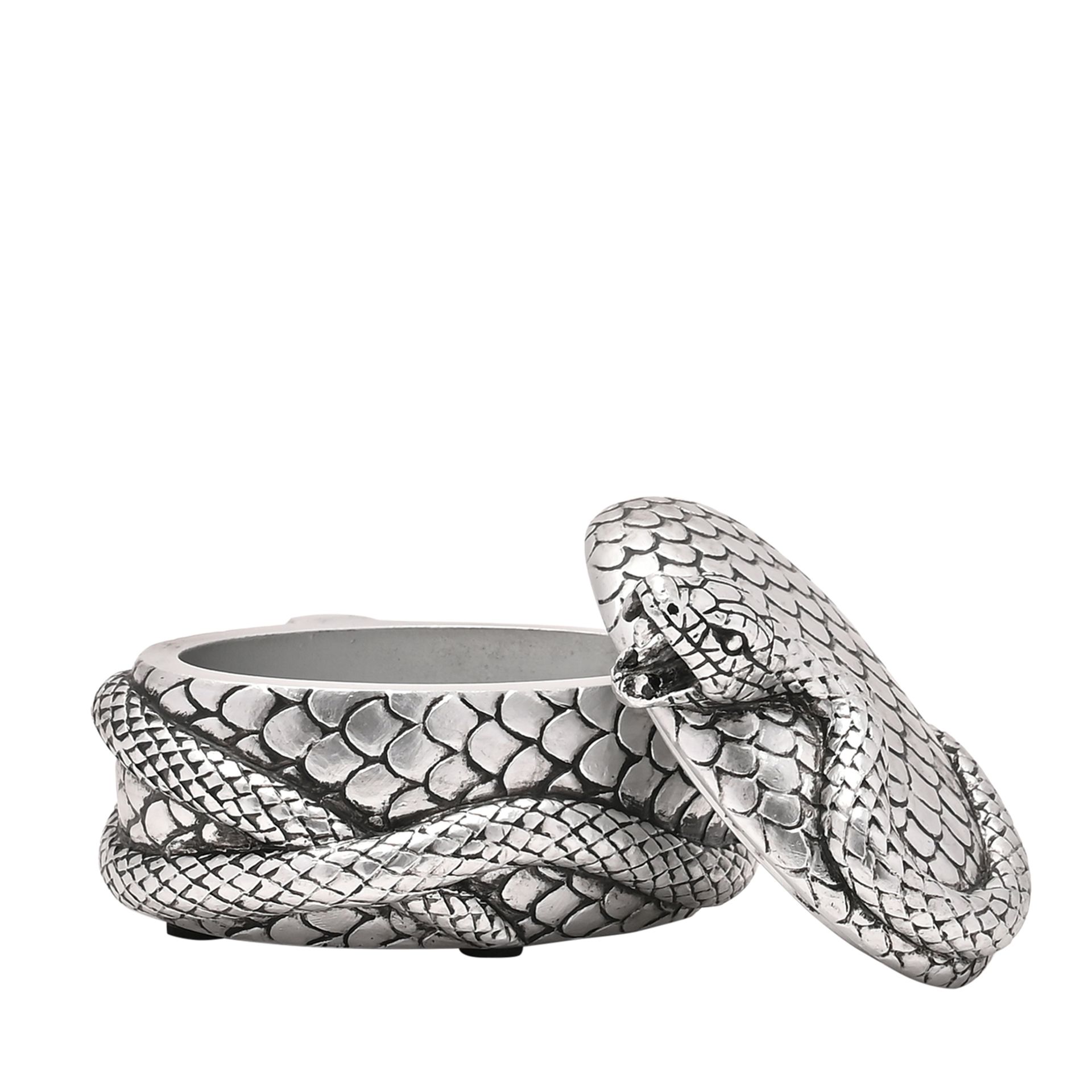 Boite Nagini Forces du mal wb317 1