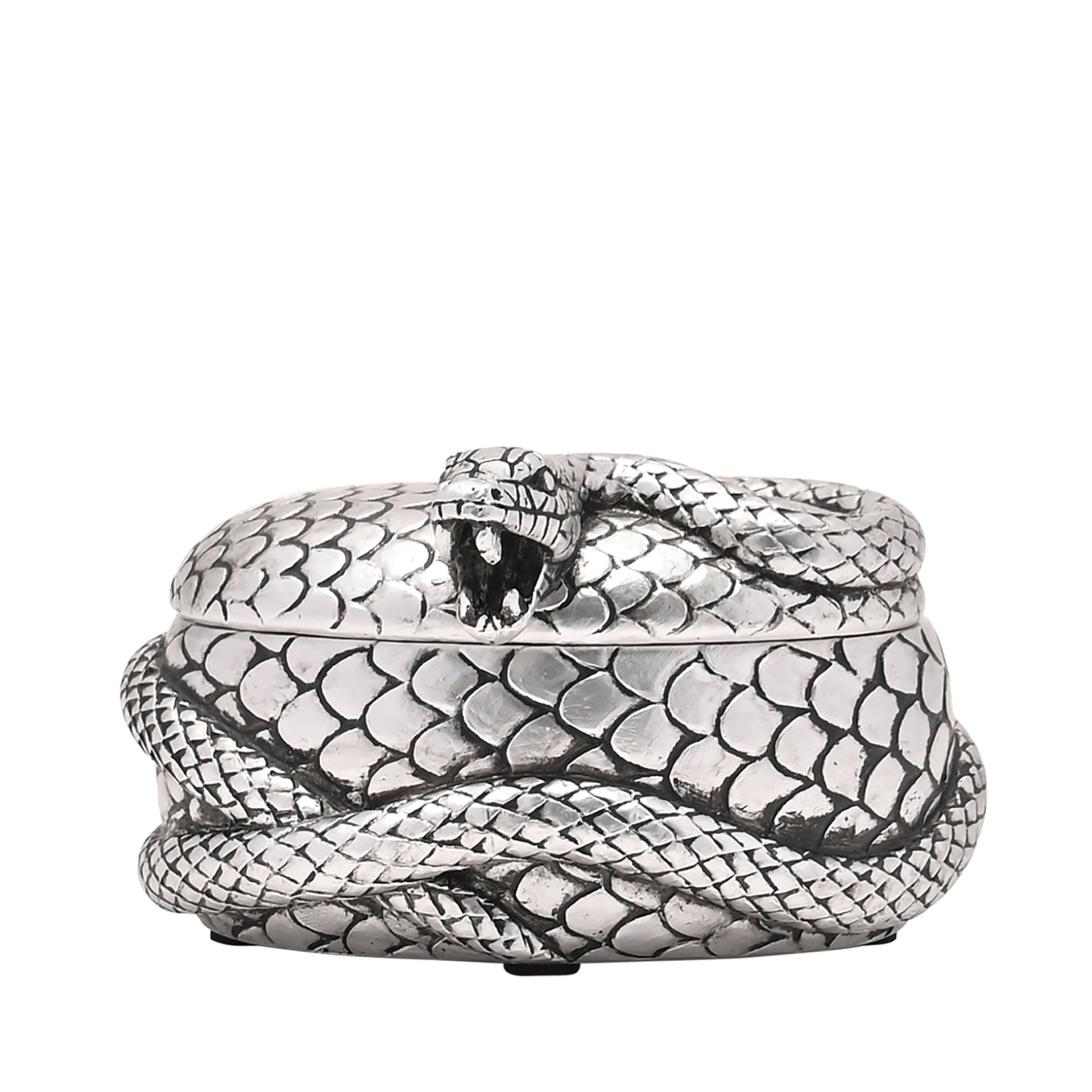 Boite Nagini Forces du mal wb317