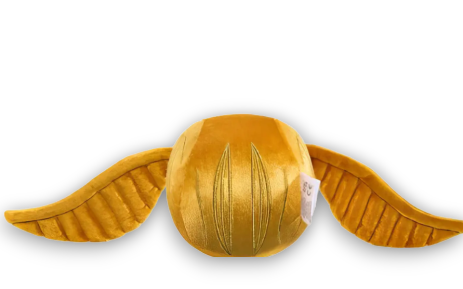 capture-d-ecran-2024-02-17-130712