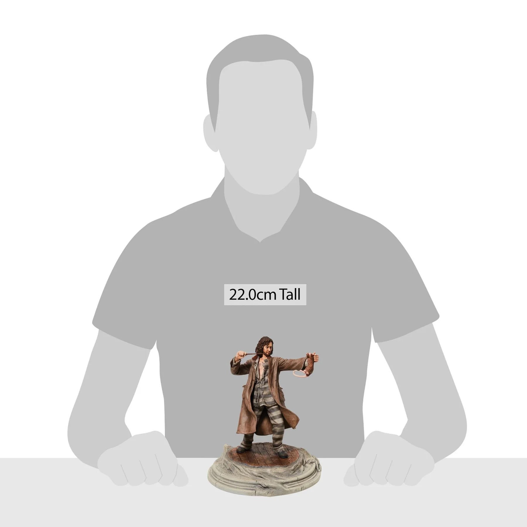 Figurine Sirius Black 6009018(10)