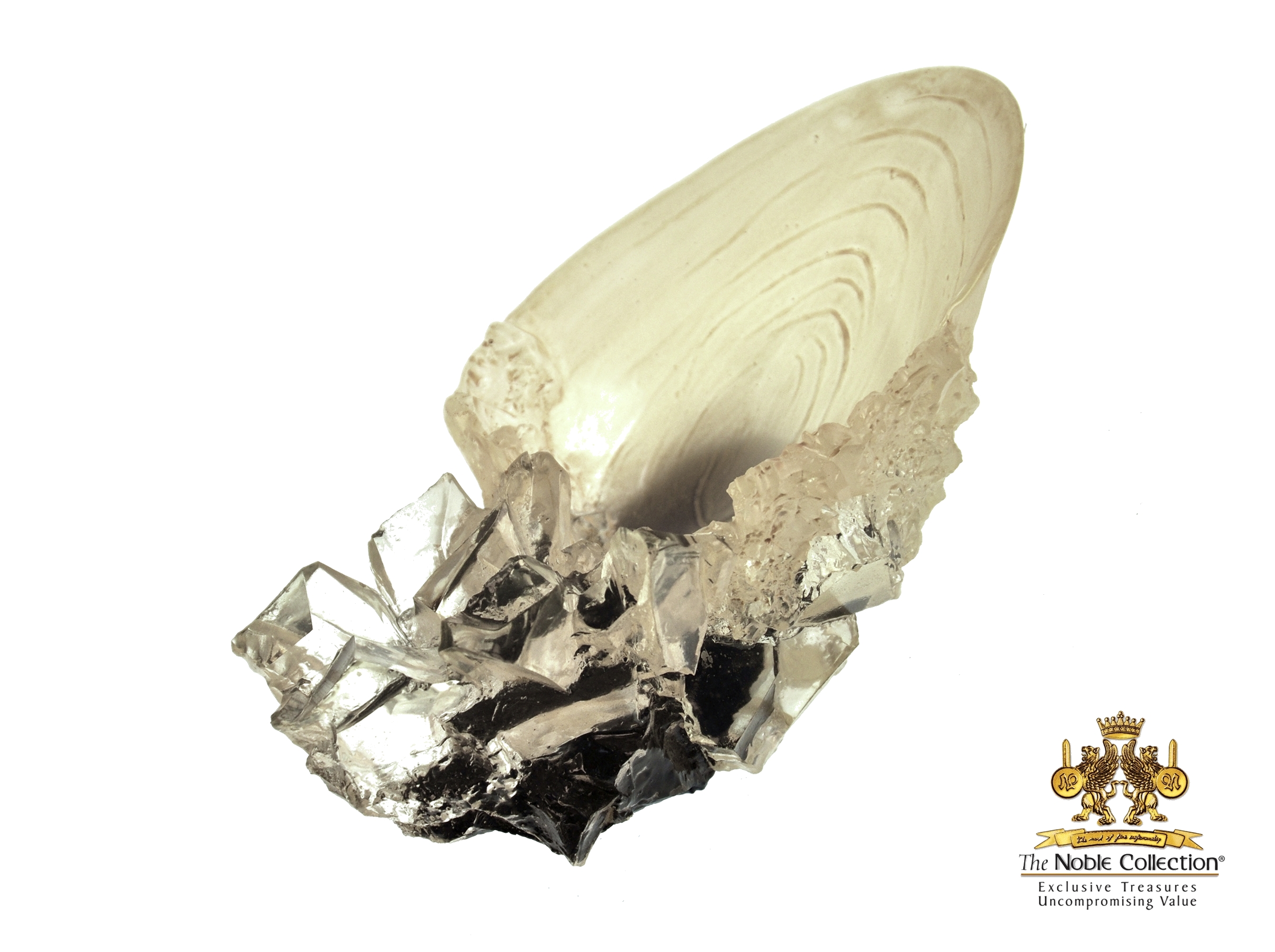 La Coupe de Cristal - Harry Potter - NN1009