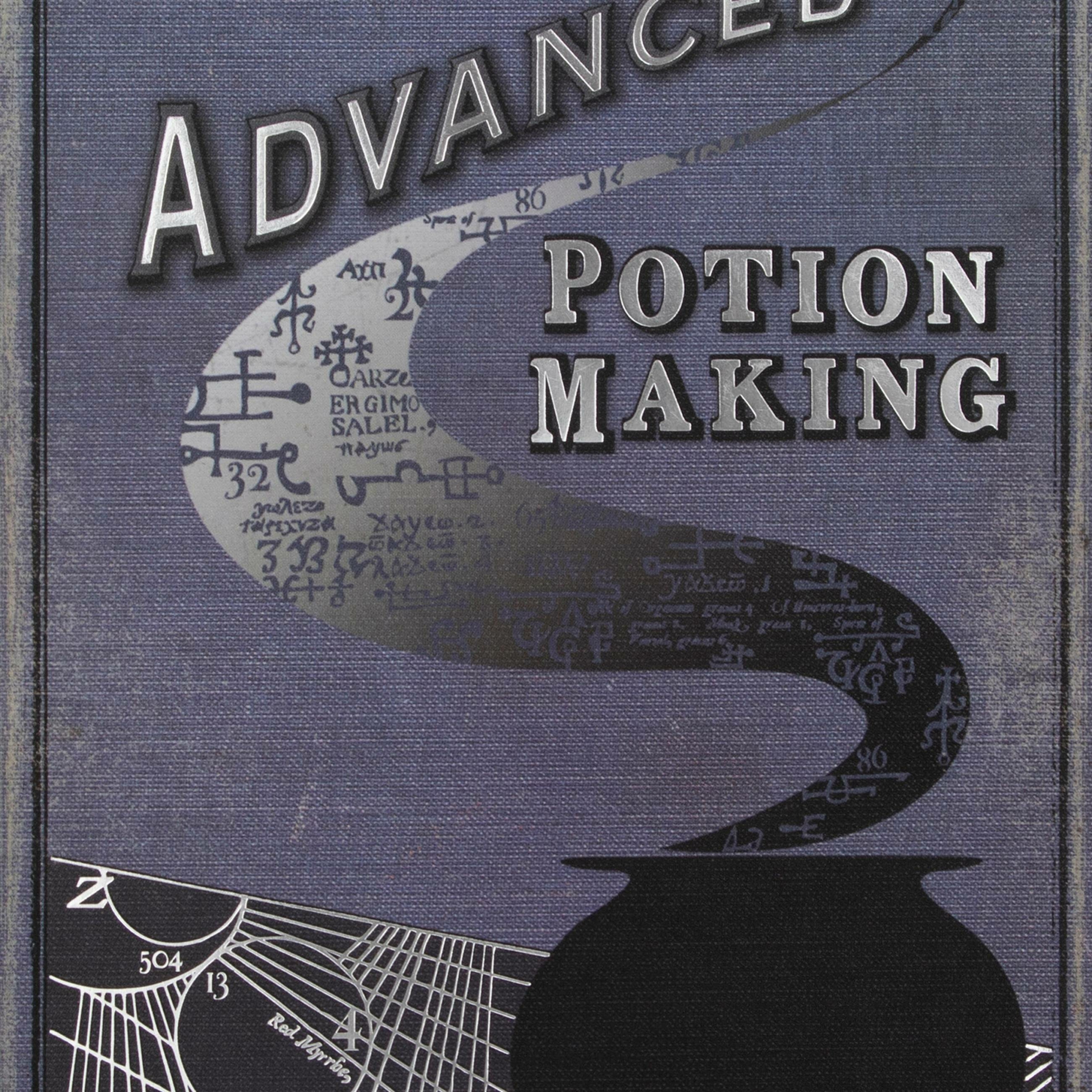 LIVRES DE SORCIER JOURNAL « FABRICATION DE POTIONS AVANCÉES - ÉDITION II » MINALIMA 2