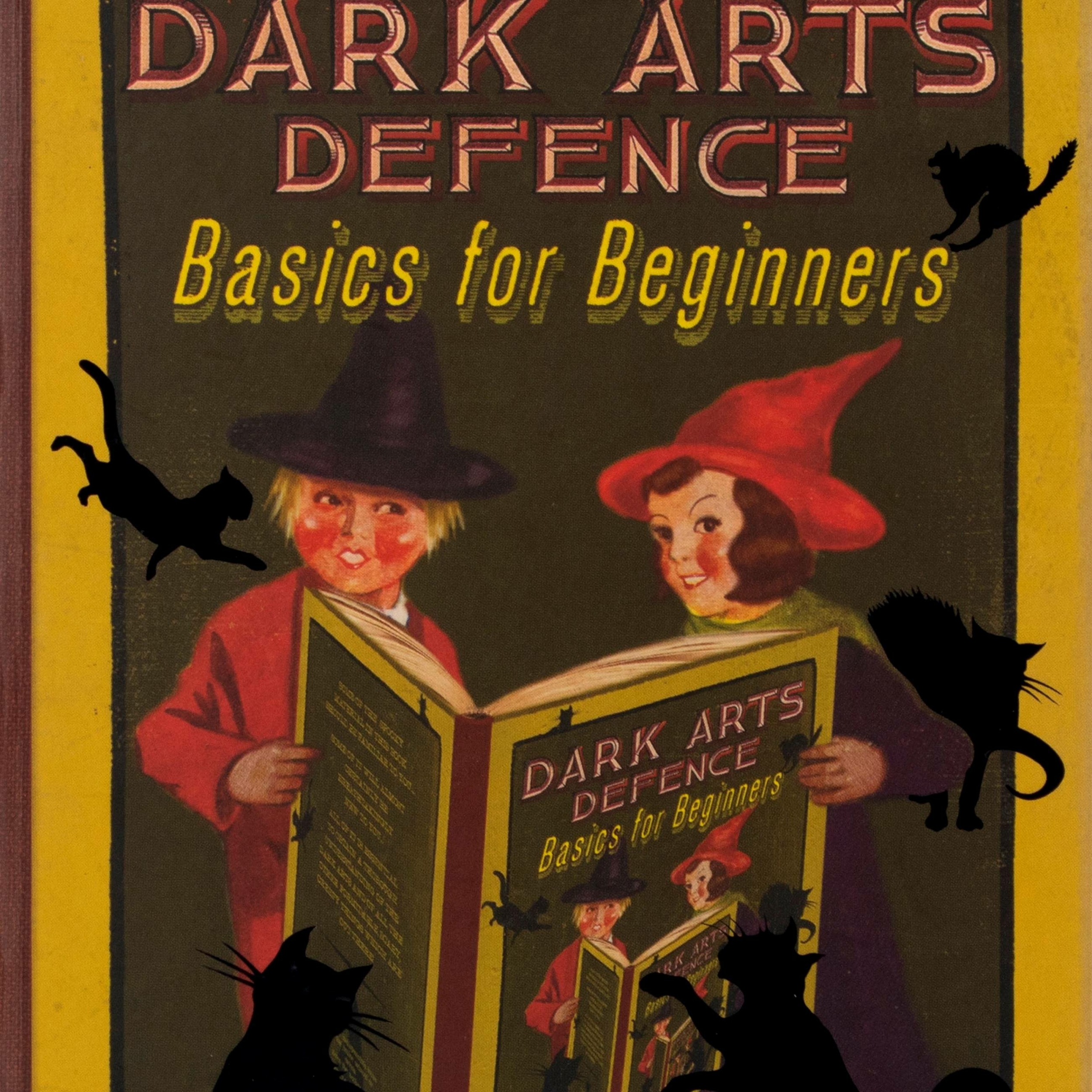 Journal - Livres de Sorciers - Bases de la défense contre les Arts Sombres pour les débutants - MINALIMA HJ07 (2)