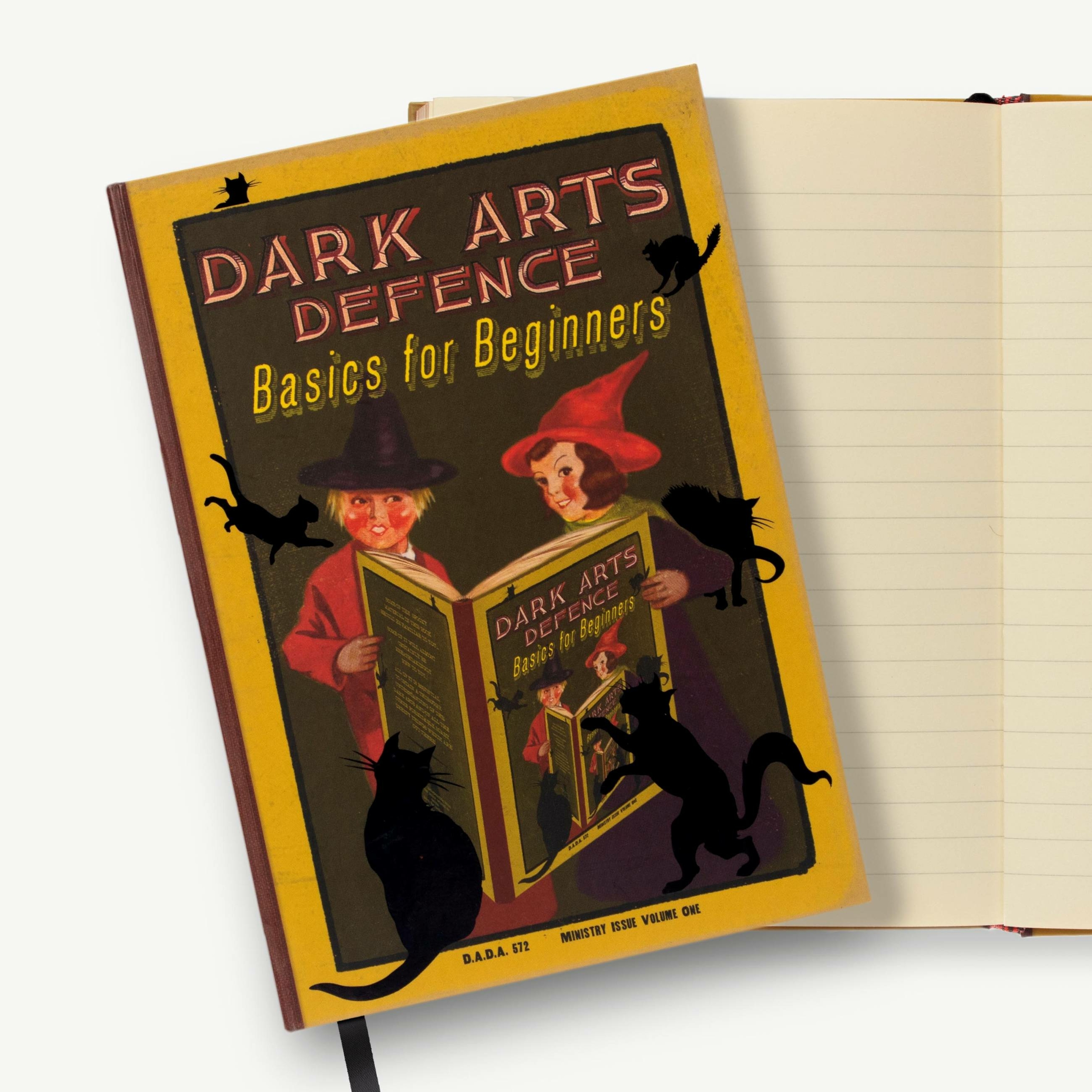 Journal - Livres de Sorciers - Bases de la défense contre les Arts Sombres pour les débutants - MINALIMA HJ07 (3)