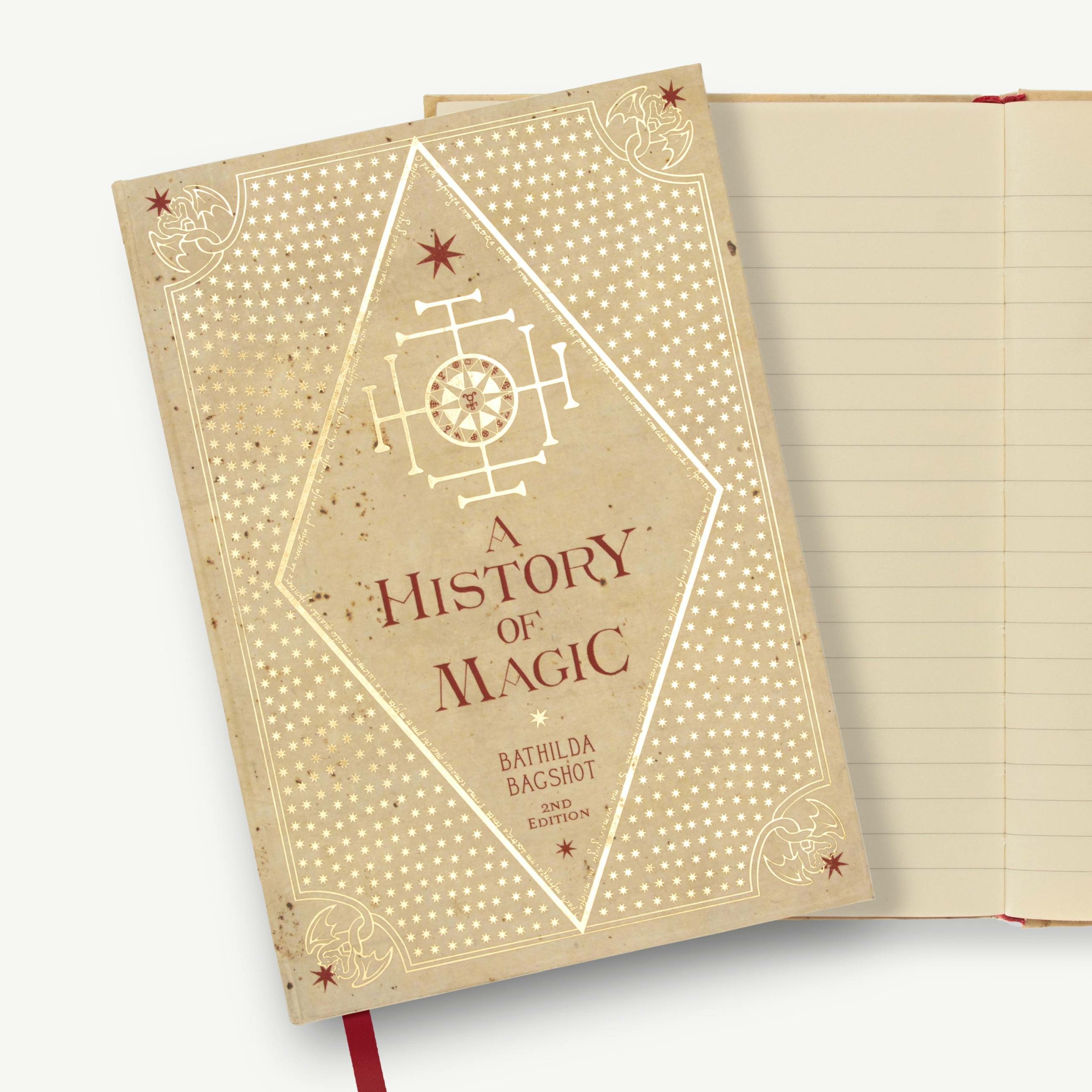 Journal - Livres de Sorciers - Une histoire de Magie - MINALIMA HJ08 (3)