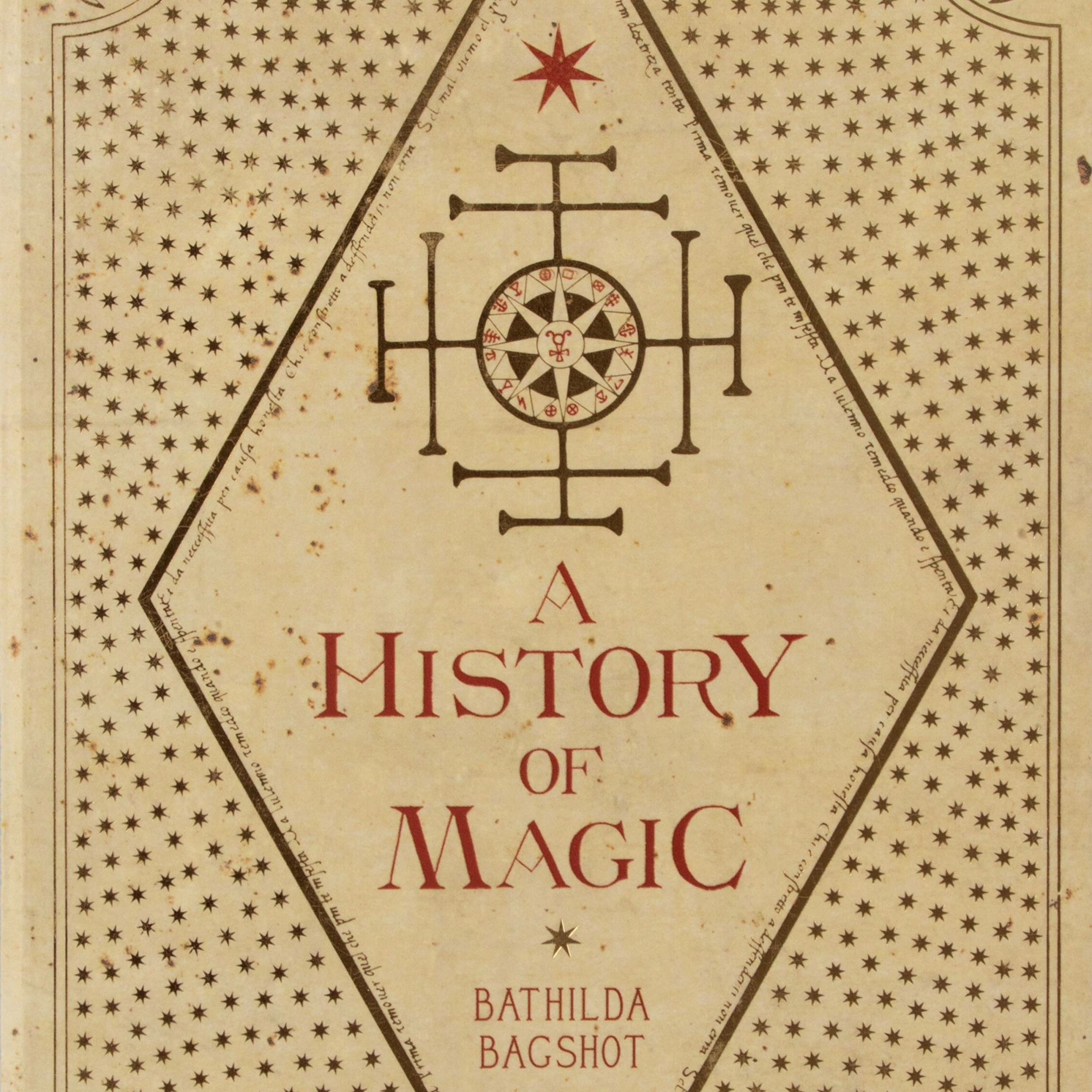 Journal - Livres de Sorciers - Une histoire de Magie - MINALIMA HJ08 (2)