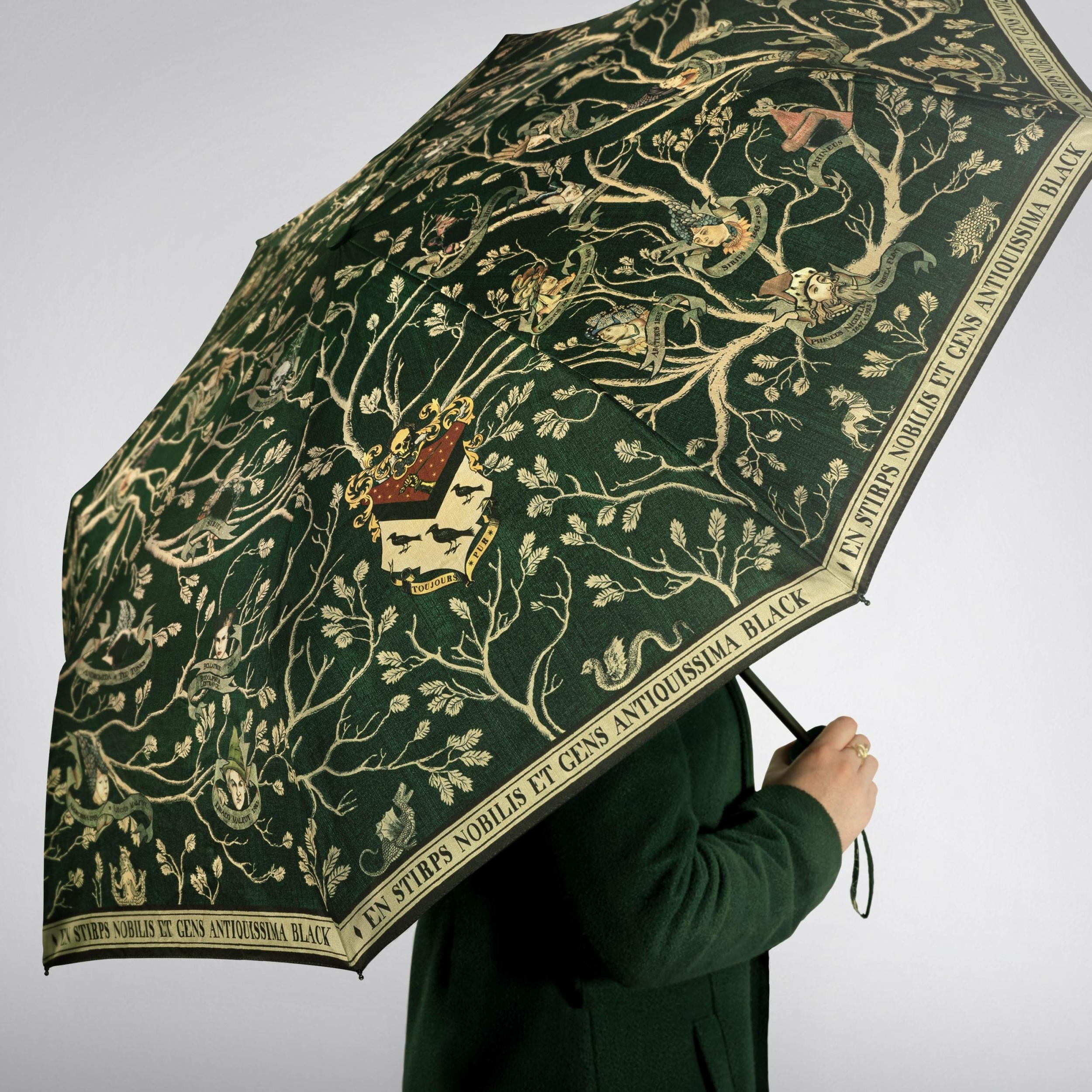 Parapluie - Tapisserie Famille Black - Arbre Généalogique - MinaLima HPUB01 (2)