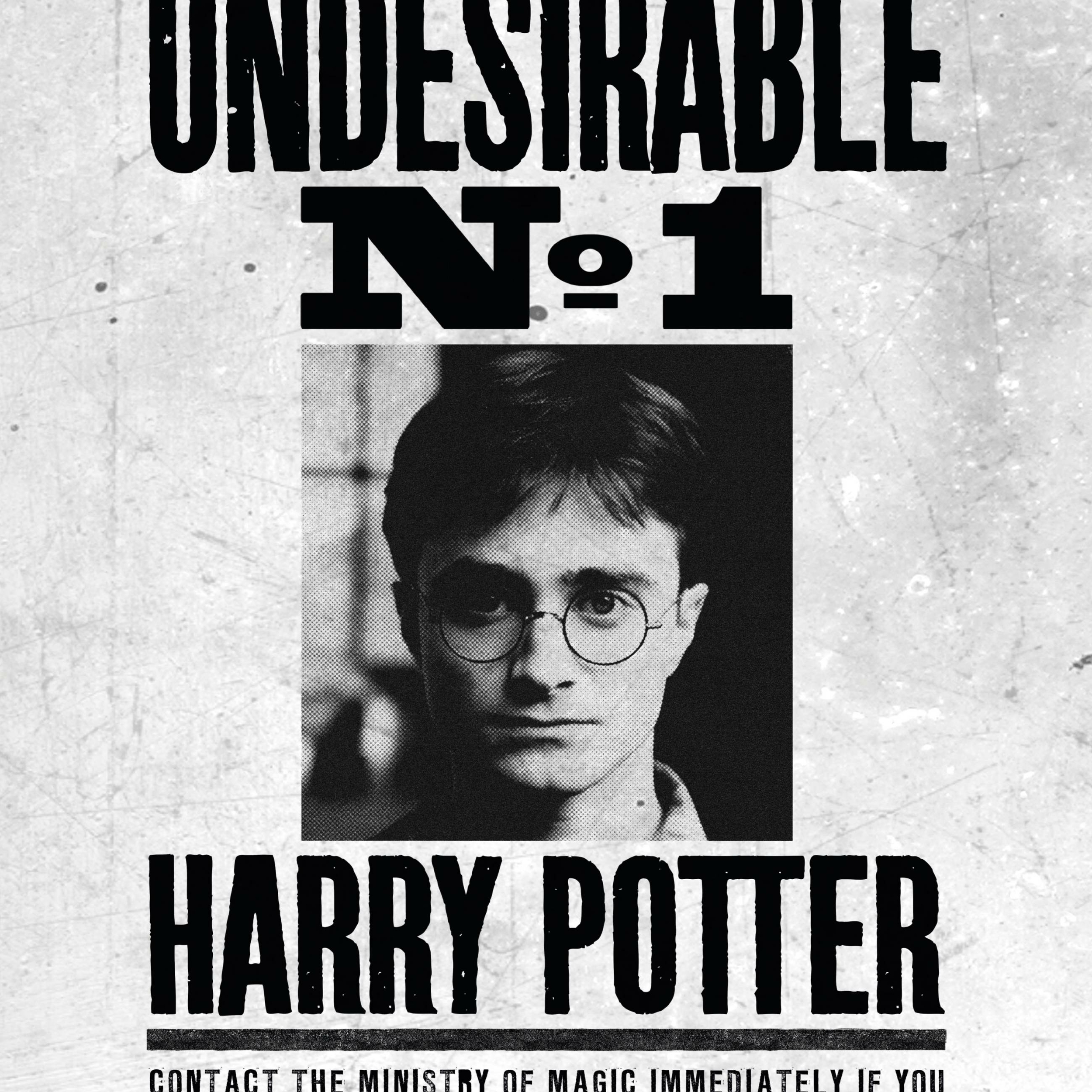 Affiche - Ministère de la Magie - Indésirable N°1 - Harry Potter - MinaLima HPP11 (2)