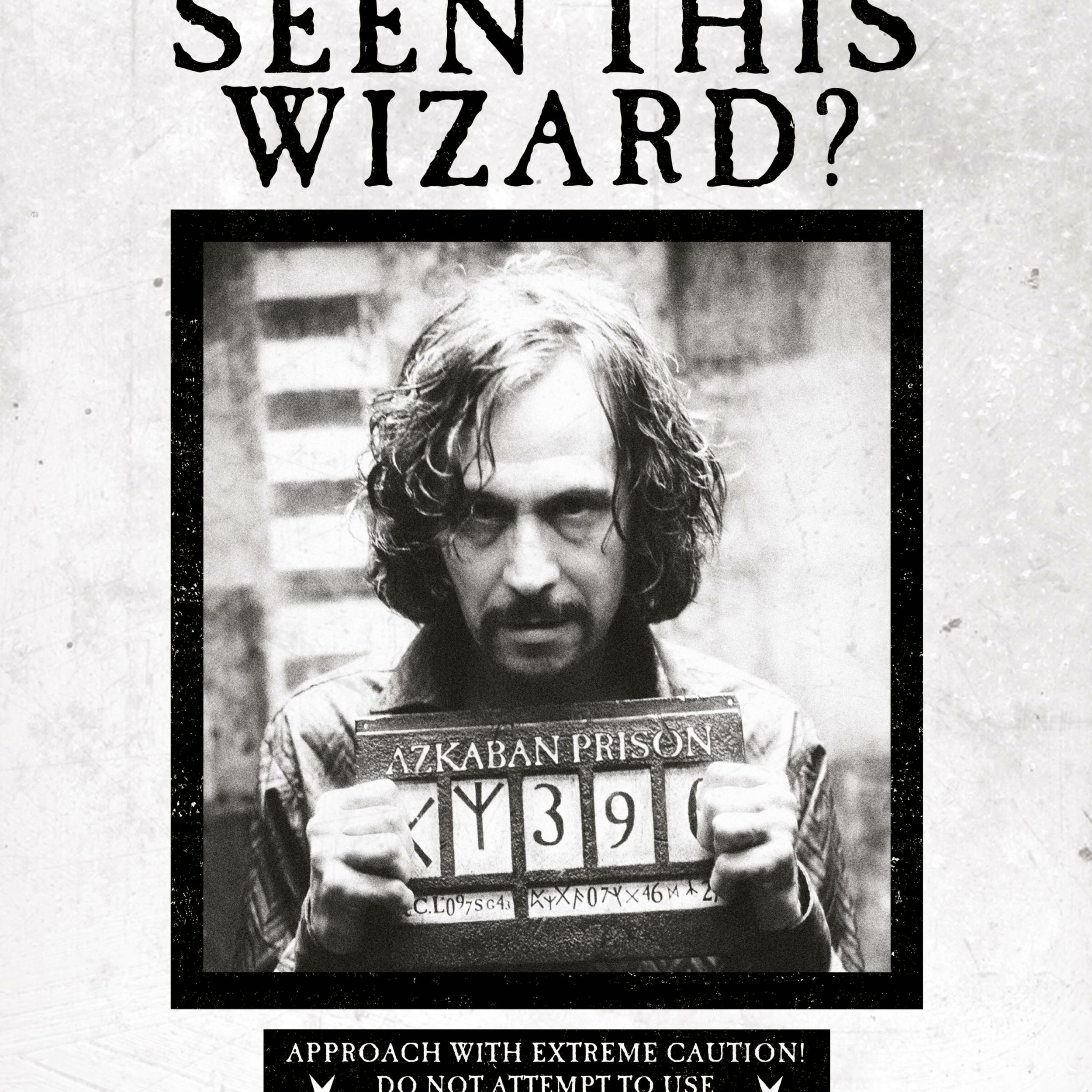 Affiche - Ministère de la Magie - Avez-vous vu ce Sorciers  - Sirius Black - MinaLima HPP12 (2)