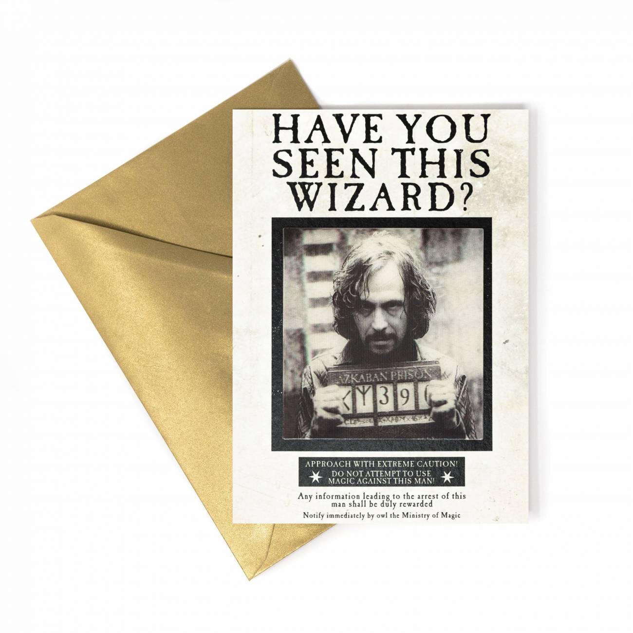 Carte Lenticulaire - Ministère de la Magie - Avez-vous vu ce sorcier  - Sirius Black - MinaLima (3)