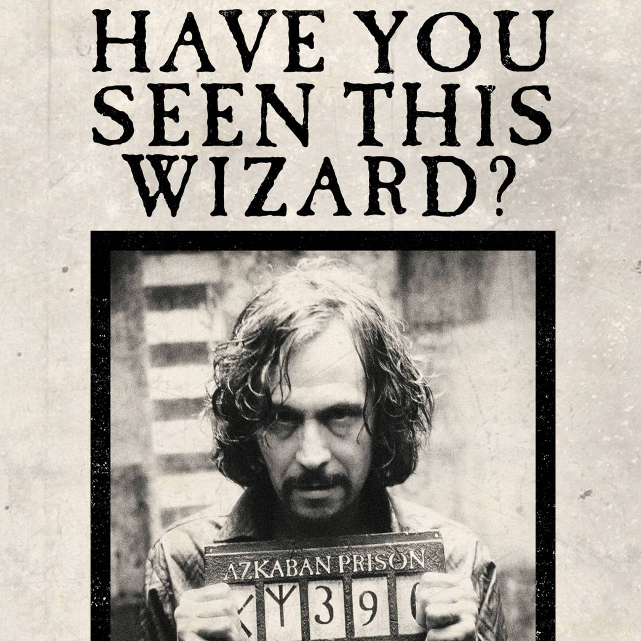 Carte Lenticulaire - Ministère de la Magie - Avez-vous vu ce sorcier  - Sirius Black - MinaLima (2)
