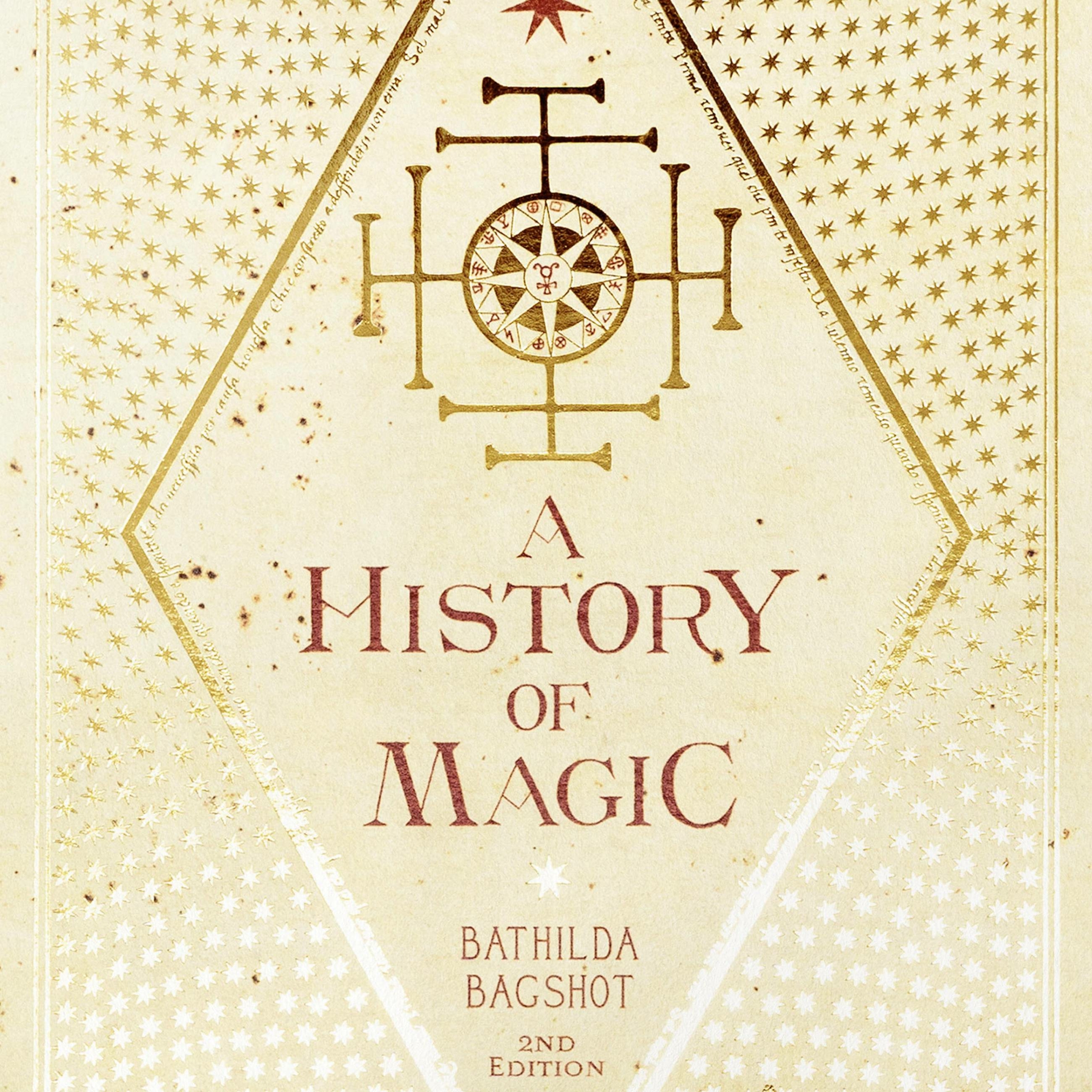 Carte - Livres de Sorciers - Une Histoire de Magie - MinaLima (2)