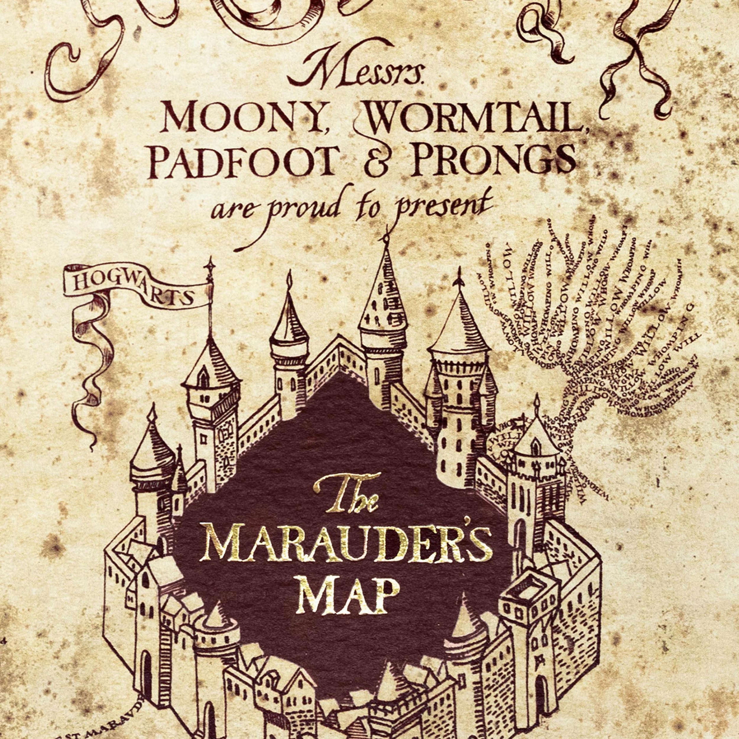 Carte - Carte du Maraudeur - Couverture de la Carte du Maraudeur - MinaLima HPCARD28 (2)