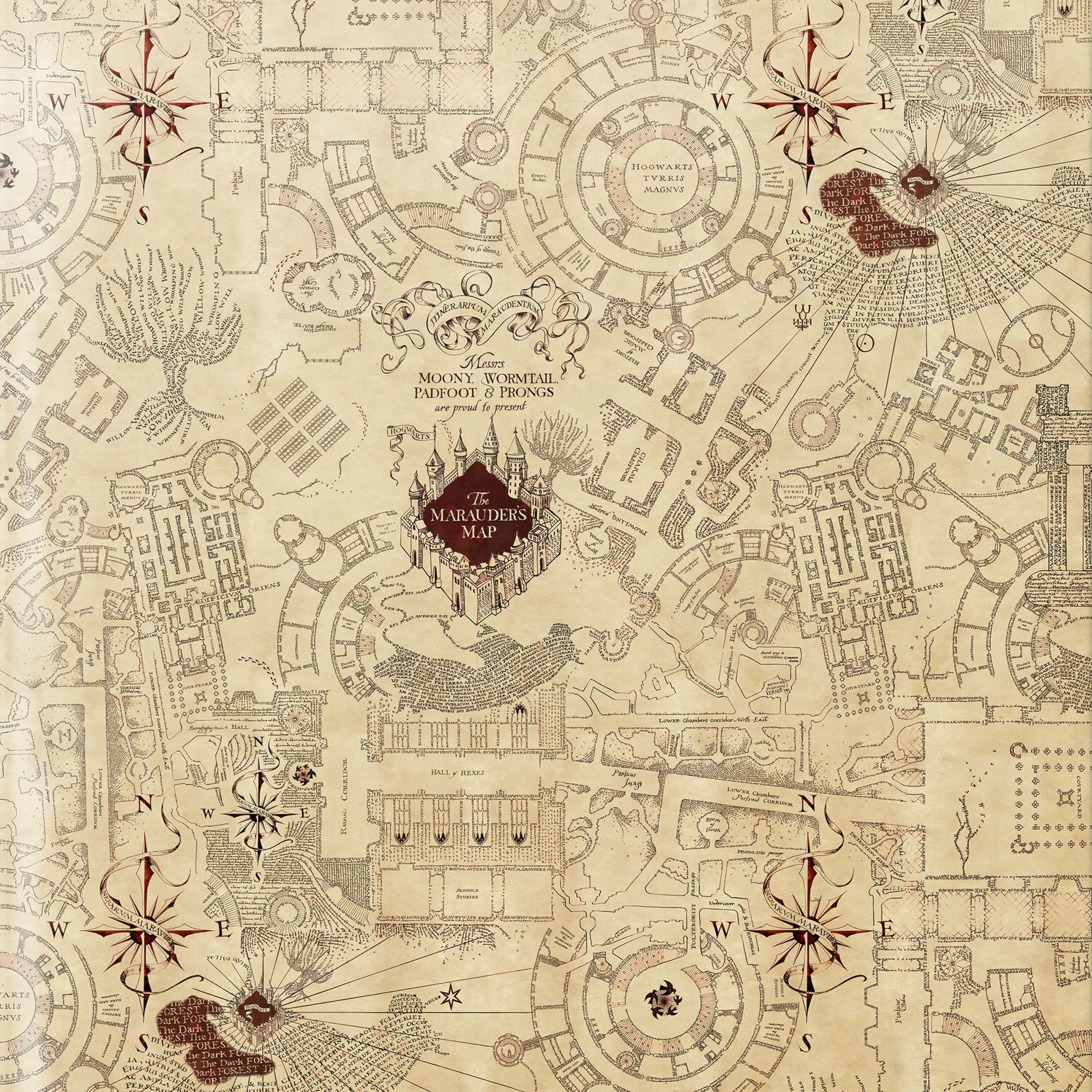 Papier cadeau - Carte du Maraudeur - MinaLima - Harry Potter HPGW03(2)