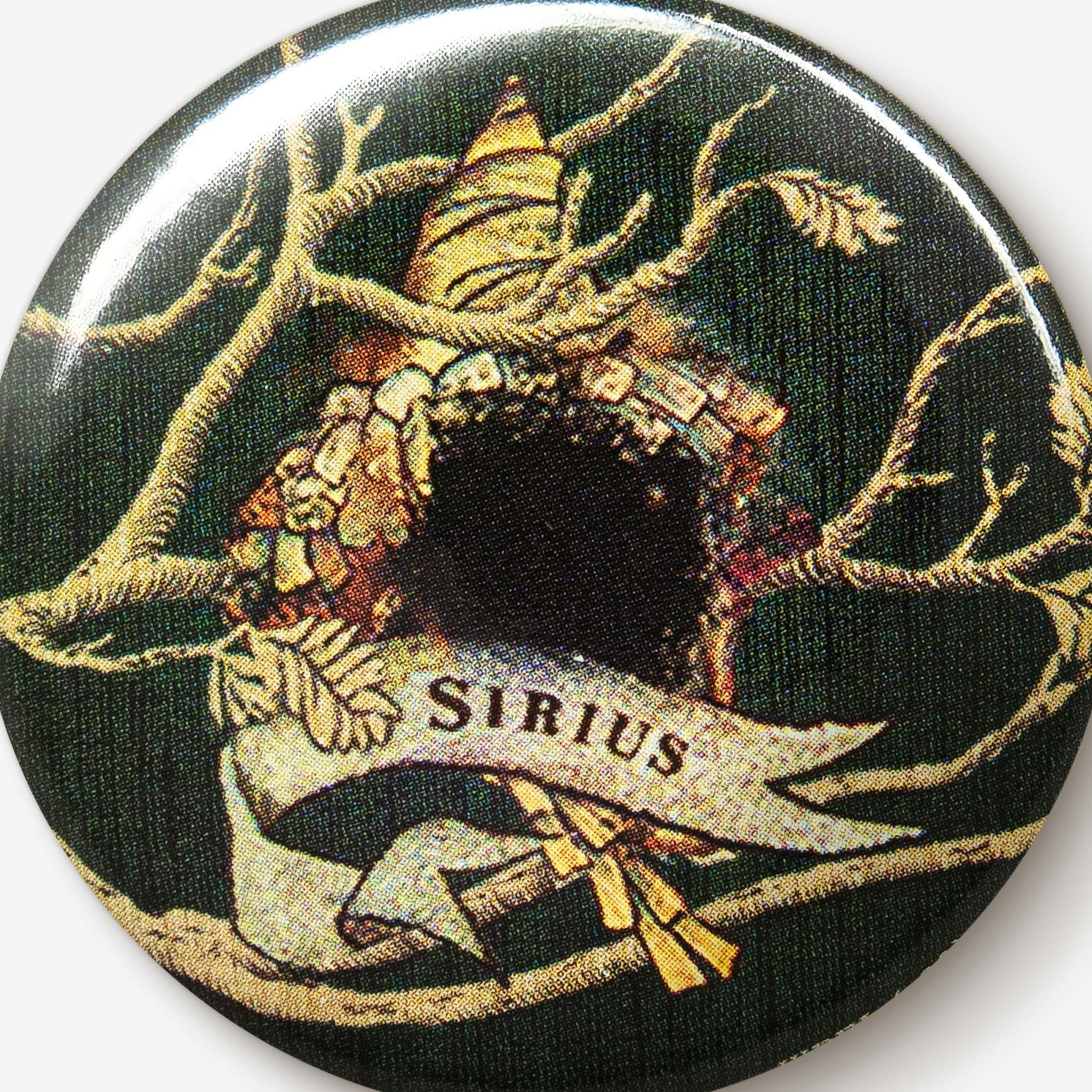 Pins Sirius Black Tapisserie Famille Black - MinaLima - Harry Potter HPBB10(2)