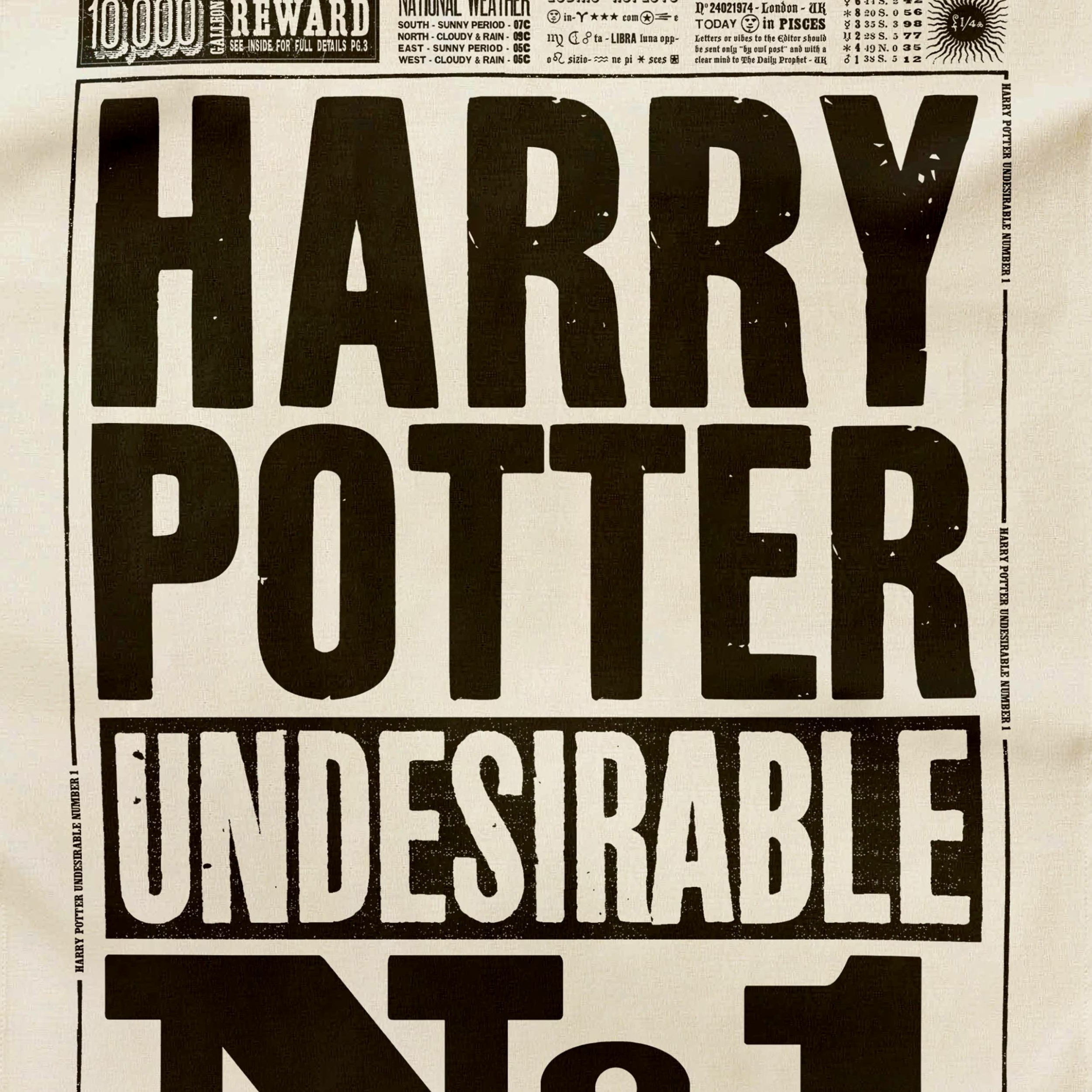 Torchon Harry Potter Indésirable N°1 - La Gazette du Sorcier - MinaLima - Harry Potter HPT02(2)