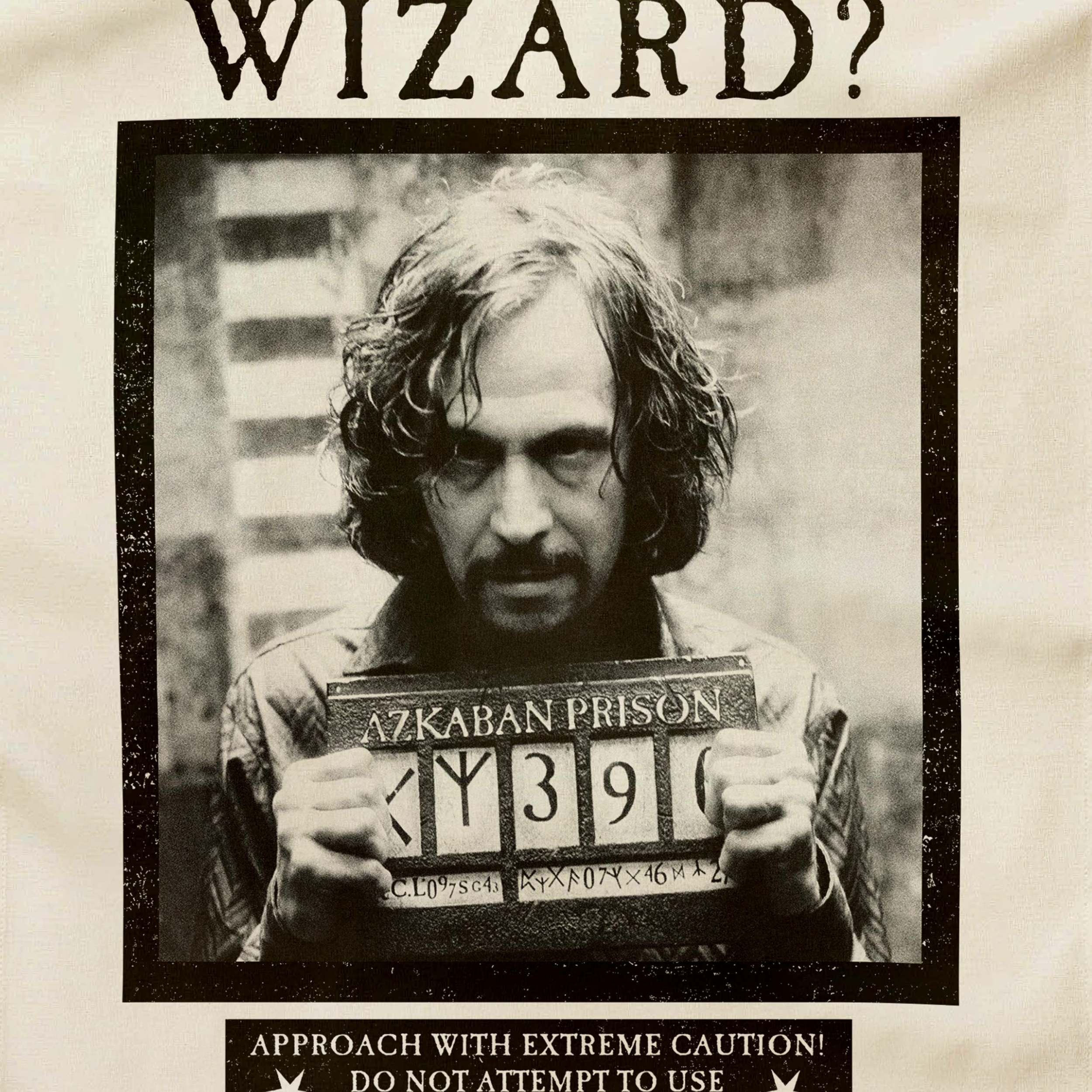 Torchon Avez-vous vu ce sorcier - Ministère de la Magie - MinaLima - Harry Potter HPT04(2)