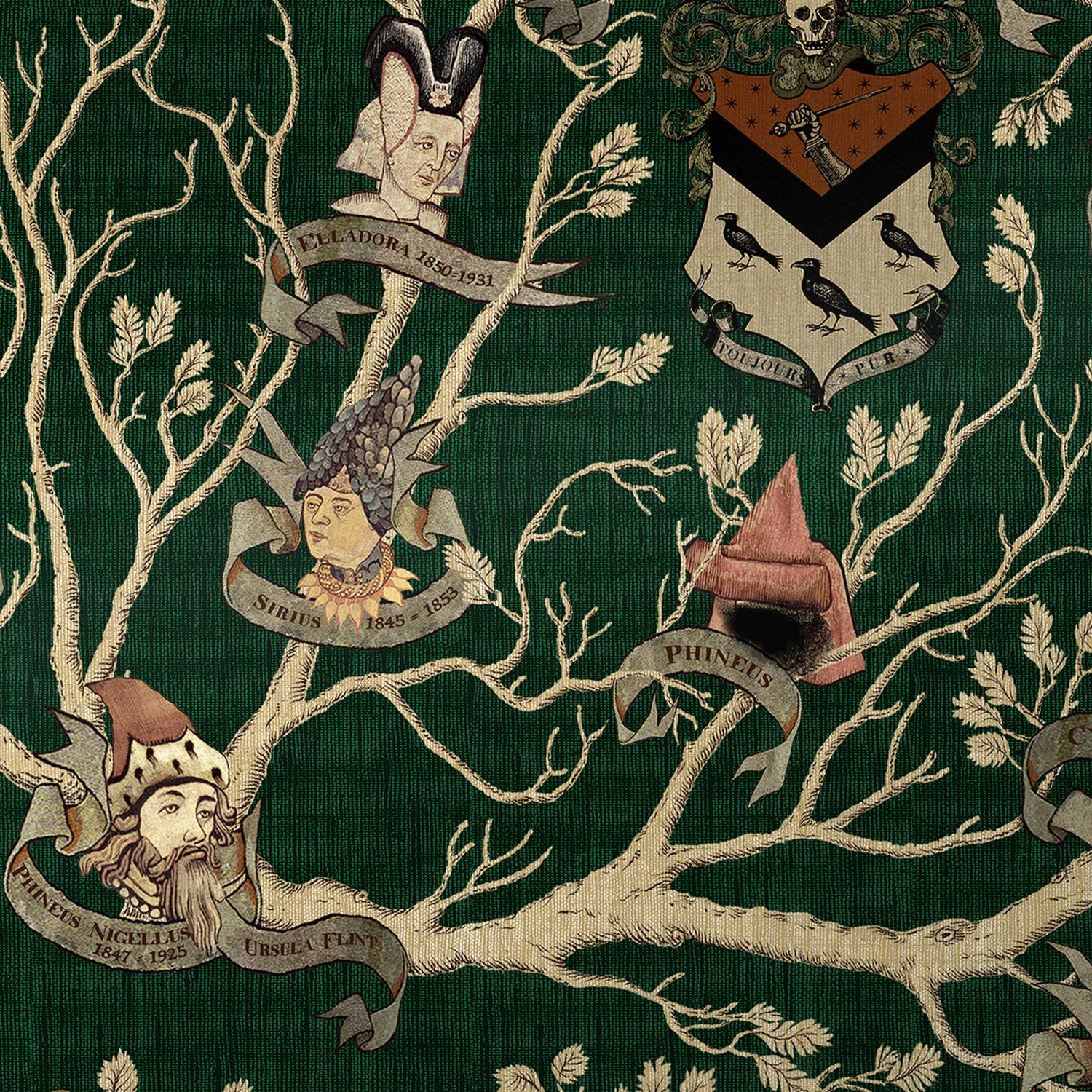 papier peint famille siruis1