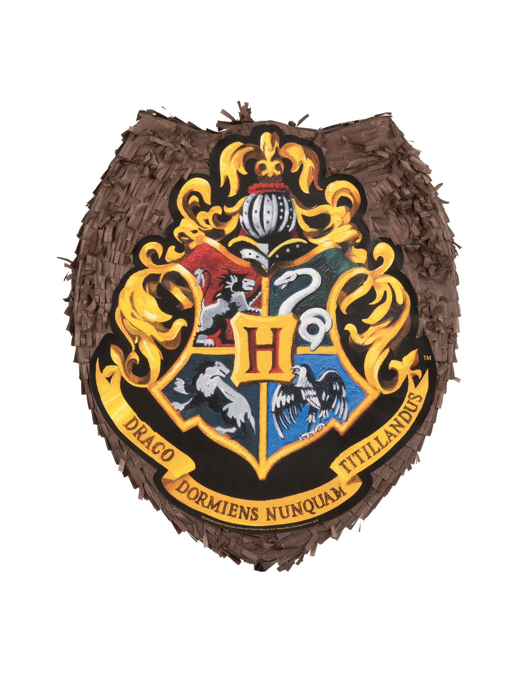 Piñata Harry Potter 318835(1)
