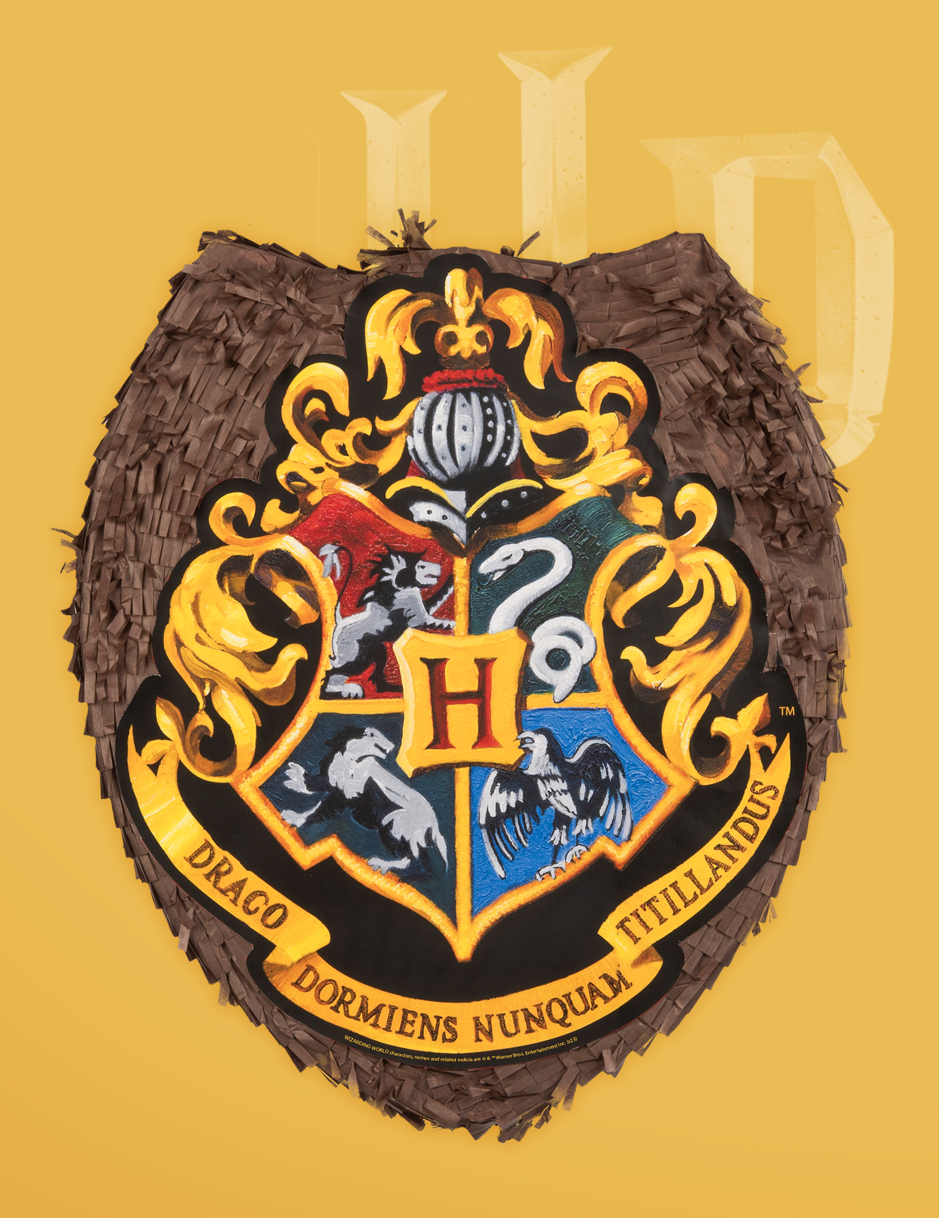 Piñata Harry Potter 318835(2)