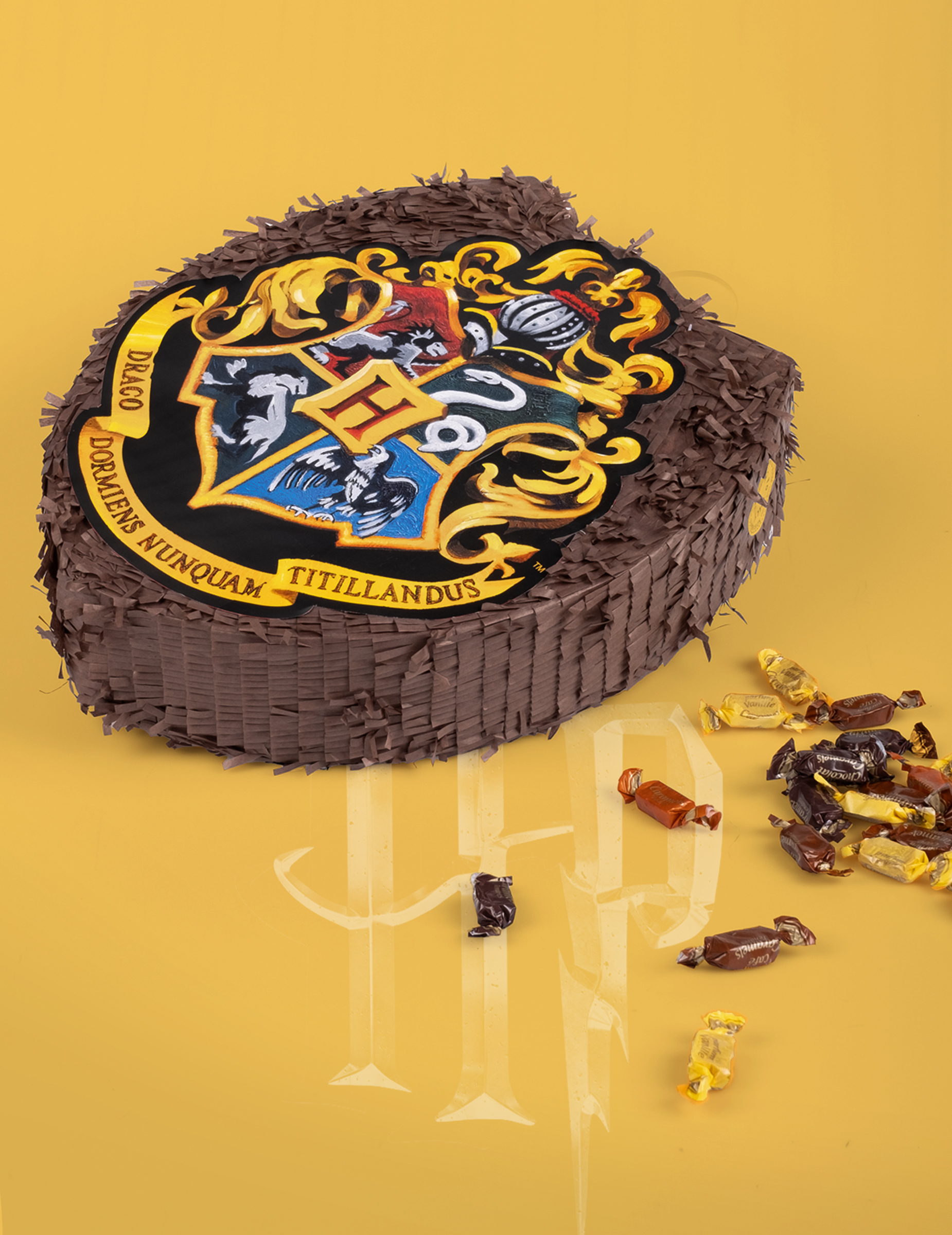 Piñata Harry Potter 318835(3)