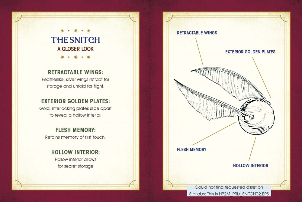 Coffret Collector Quidditch - Harry Potter - Running Press &amp; Donald Lemke 9780762483488 (3)