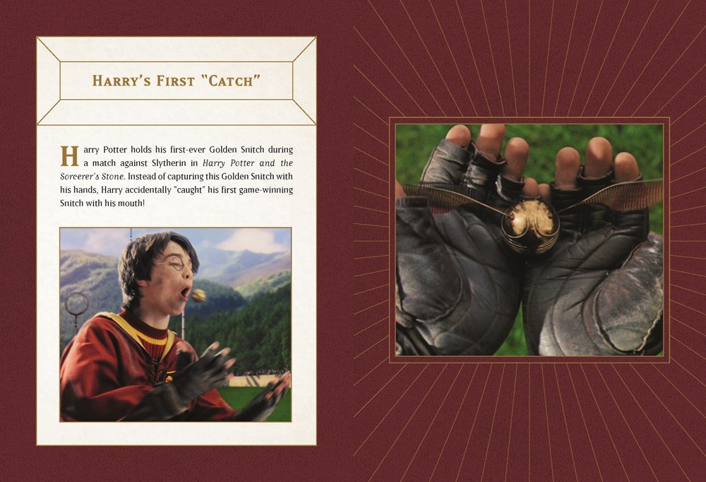 Coffret Collector Deluxe Vif dOr en lévitation - Harry Potter - Warner Bross. 9780762471850 (3)