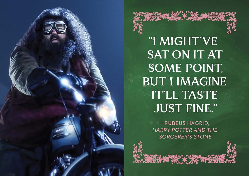 Hagrid et Gâteau danniversaire dHarry - Harry Potter - Donald Lemke 9780762487561 (3)