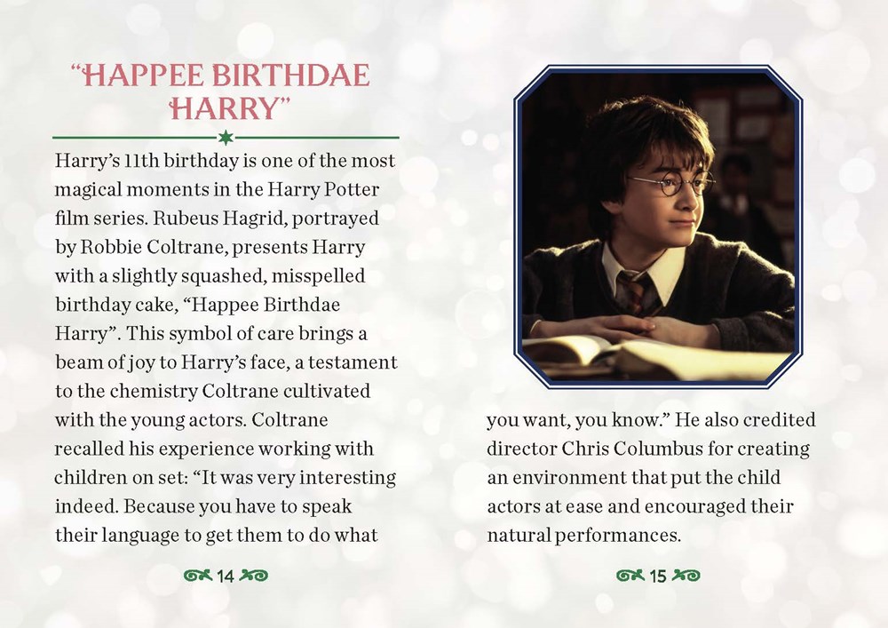 Hagrid et Gâteau danniversaire dHarry - Harry Potter - Donald Lemke 9780762487561 (2)